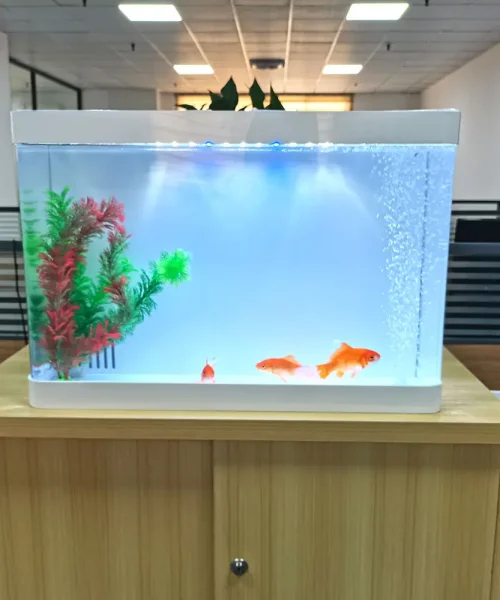 Acrylic Aquarium - Acrylic Creations 2