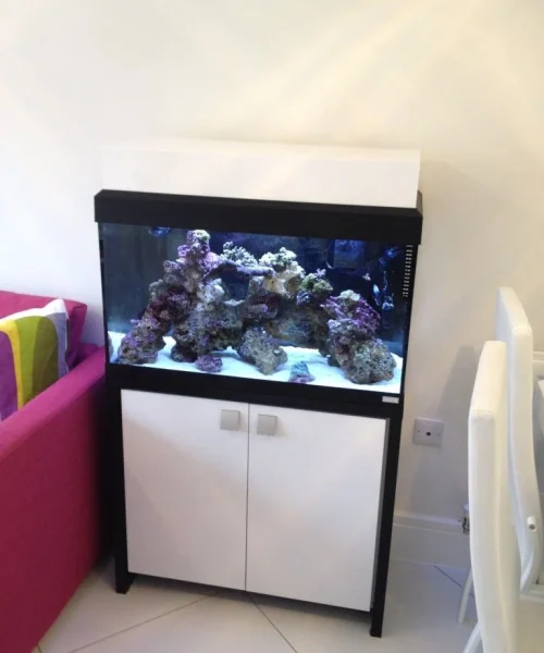 Acrylic Aquarium - Acrylic Creations 4