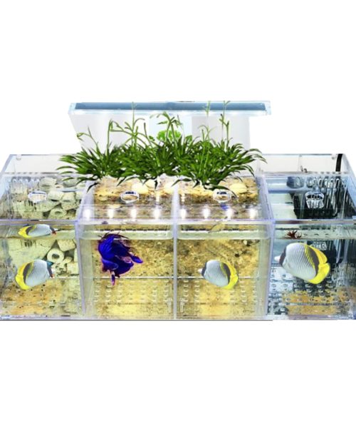 Acrylic Aquarium - Acrylic Creations