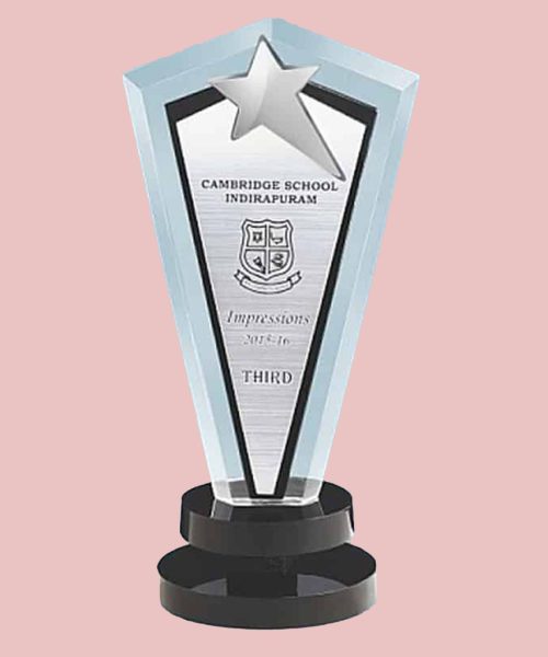 Acrylic Trophies in Dubai 7